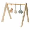 Jollein Babygym Speeltjes – Roarsome -Jollein 108 001 67100 8717329388840 hero 1c14b1ac be44 4f0e 952b 51c05937a706.jpg