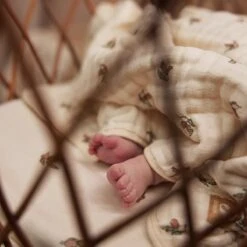 Jollein Deken Hydrofiel Wieg 75x100cm Rosehip -Jollein 1200x1200 77