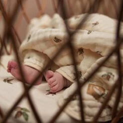 Jollein Deken Hydrofiel Wieg 75x100cm Rosehip -Jollein 1200x1200 79