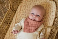 Jollein Baby Hoeslaken Ledikant Jersey 60x120cm - Meadow - Rosewood -Jollein 1200x800 254