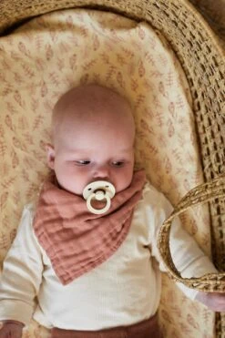 Jollein Baby Hoeslaken Ledikant Jersey 60x120cm - Meadow - Rosewood -Jollein 799x1200 15